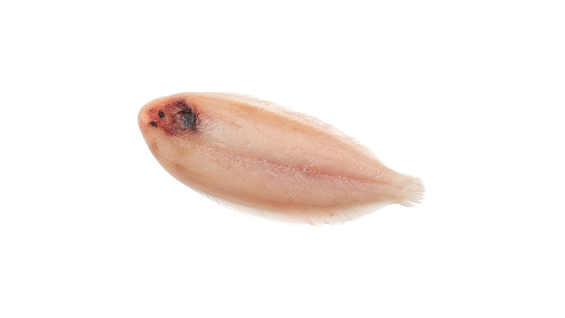 Sliptong