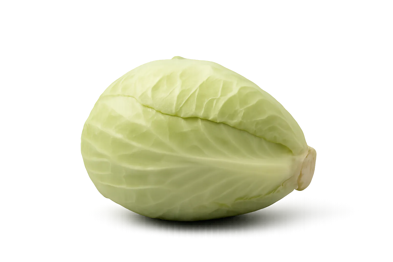 Witte Kool